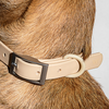 Wild One Dog Collar Medium